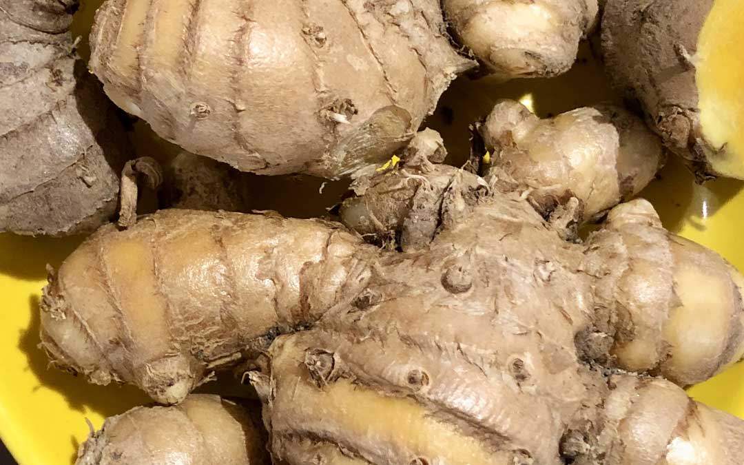 tumeric Rhizomes tumeric
