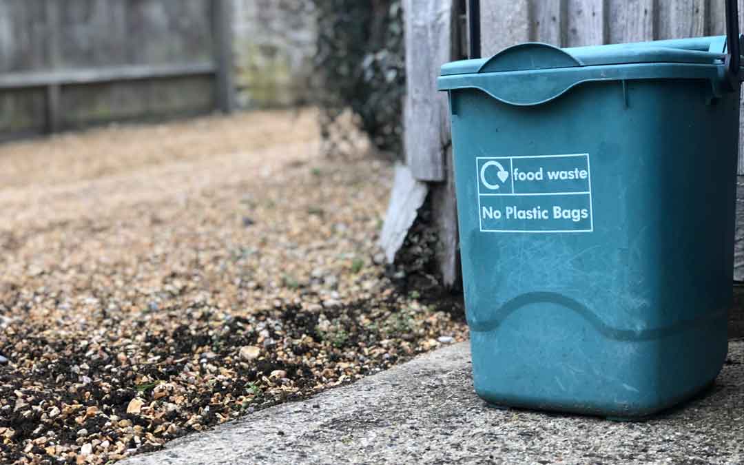 food-waste food waste
