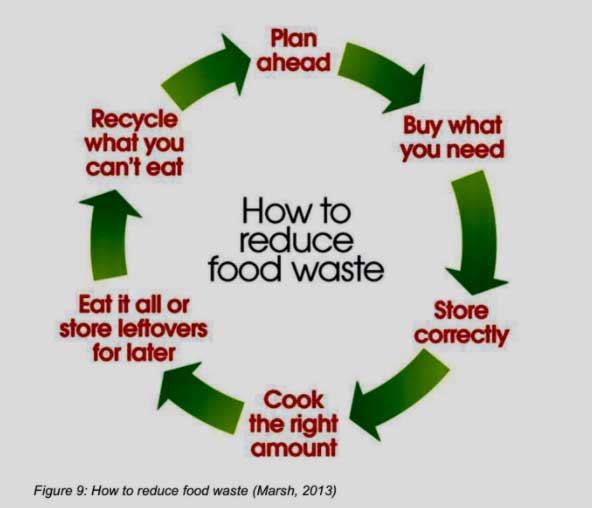 how-to-reduce-food-waste how to reduce food waste