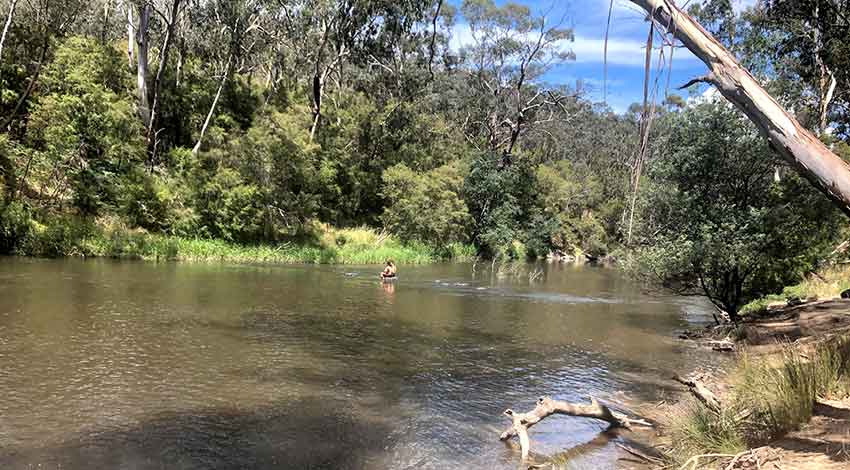 Yarra river swimming