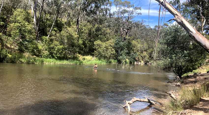 Yarra-river-swimming Yarra river swimming