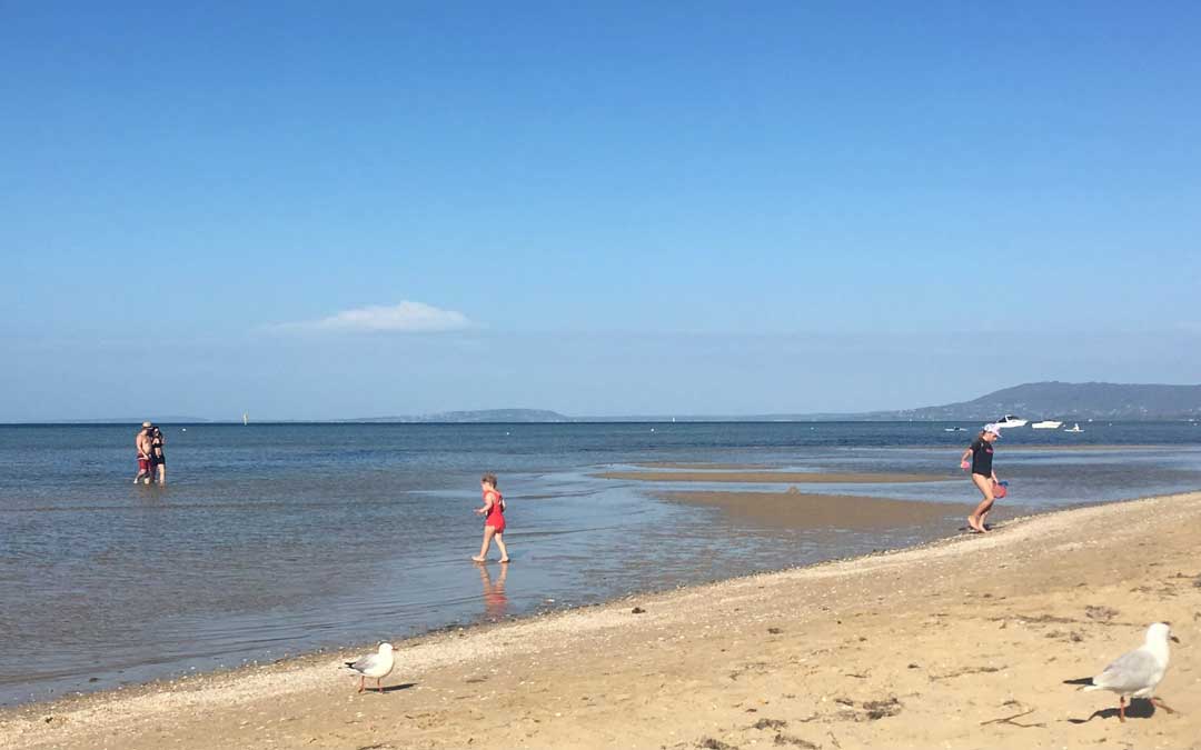 blairgowrie-front-beach blairgowrie front beach with people swimming