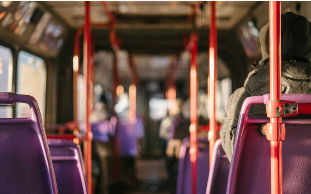 bus-ride lady riding on a bus