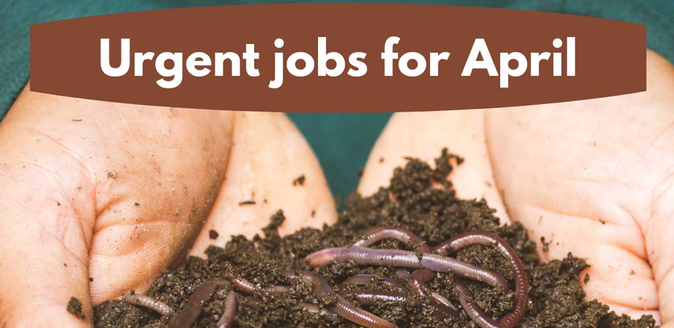 urgent-jobs-garden-april Urgent jobs in the garden for april