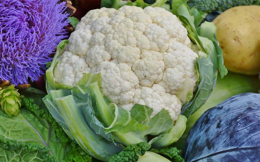 cauliflower brassicas cauliflower