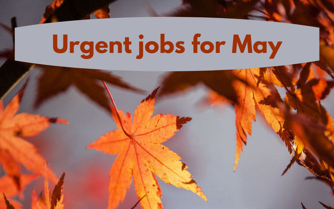 urgent-jobs-may urgent jobs in the garden for may