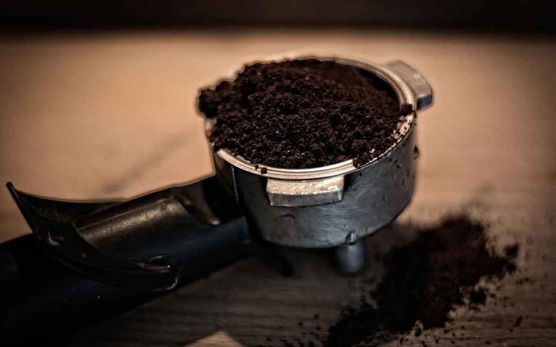 Why used coffee grounds might harm your plants