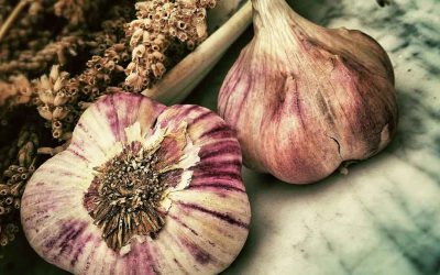August garlic hint
