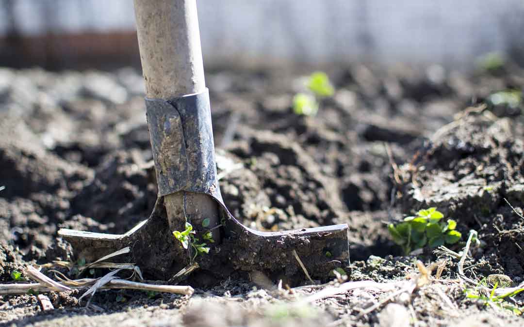 soil-digging-spade spade digging in soil in the ground