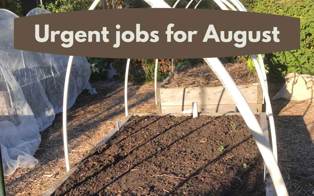 urgent-jobs-august