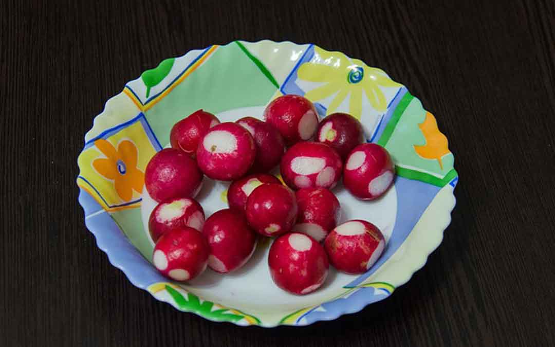 eating-radish radish in a bowl