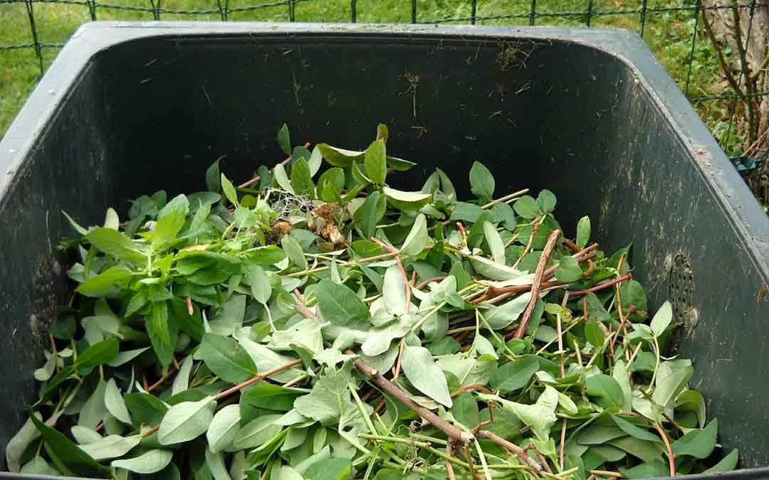 We need to talk about…your green waste bin
