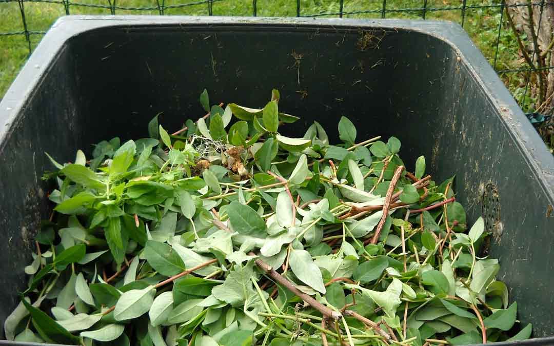 green-waste-bin green-waste-bin