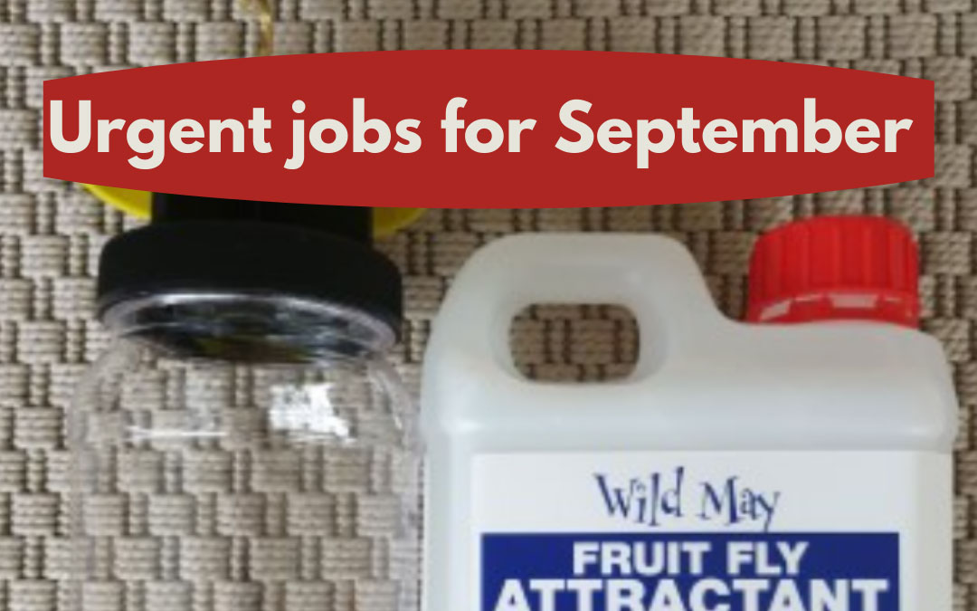 urgent-jobs-sept