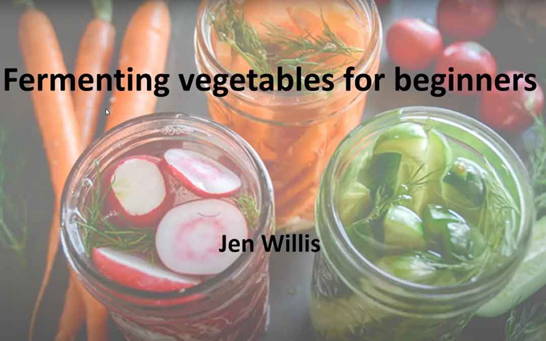 fermenting-veg fermenting vegetables
