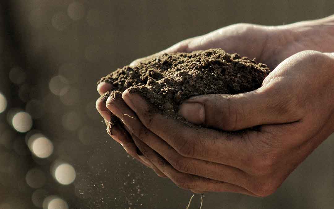 The life in the soil and why you should soil your undies!