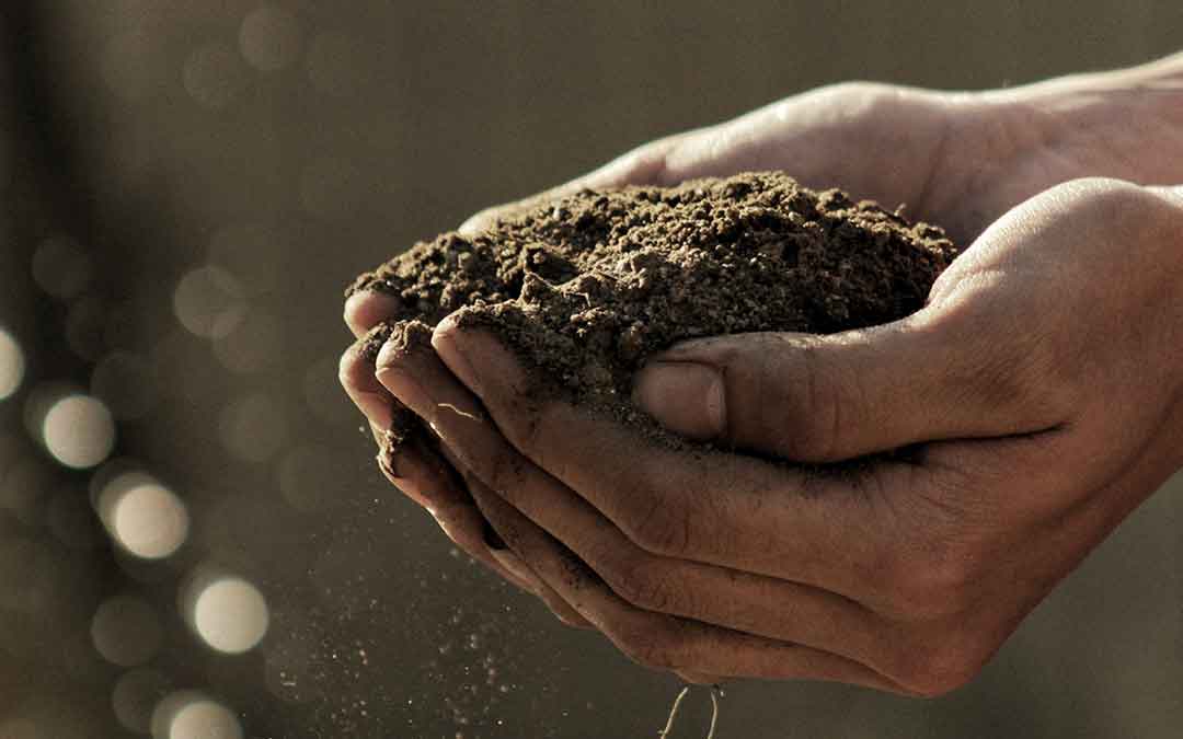 soil soil