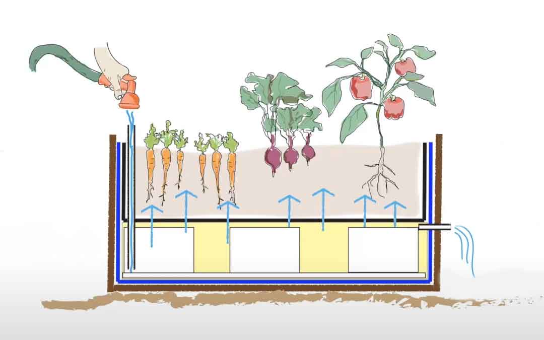 wicking-bed wicking-bed-diagram