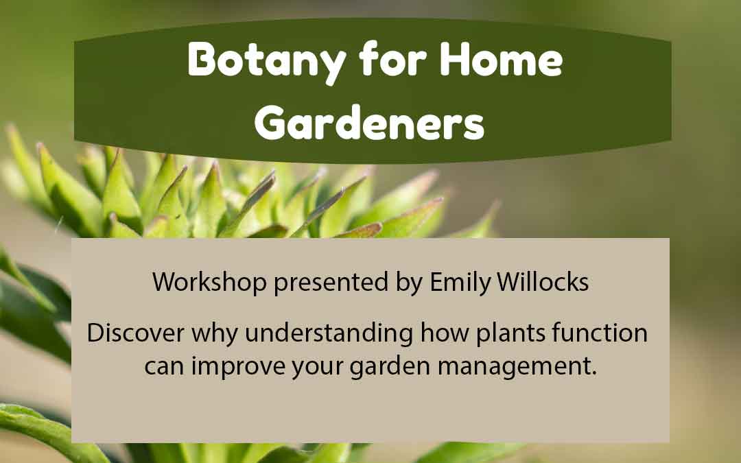 botany-for-home-gardeners