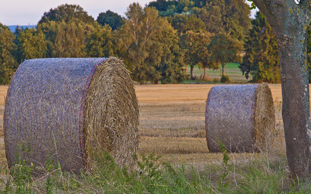 soil-bales-of-hay