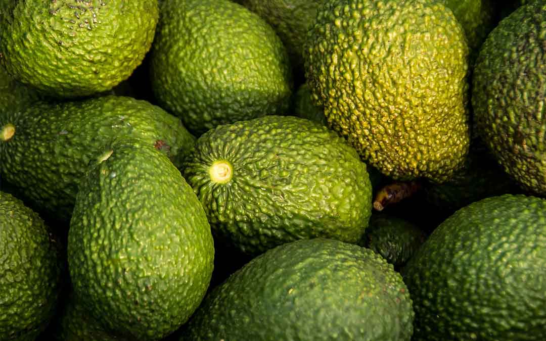 avocados