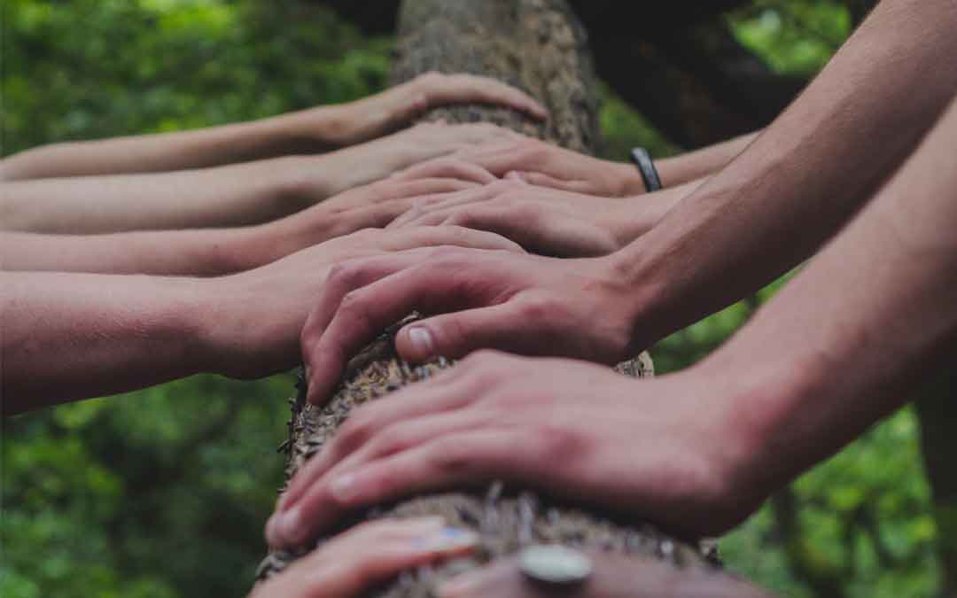 membership-team-hands