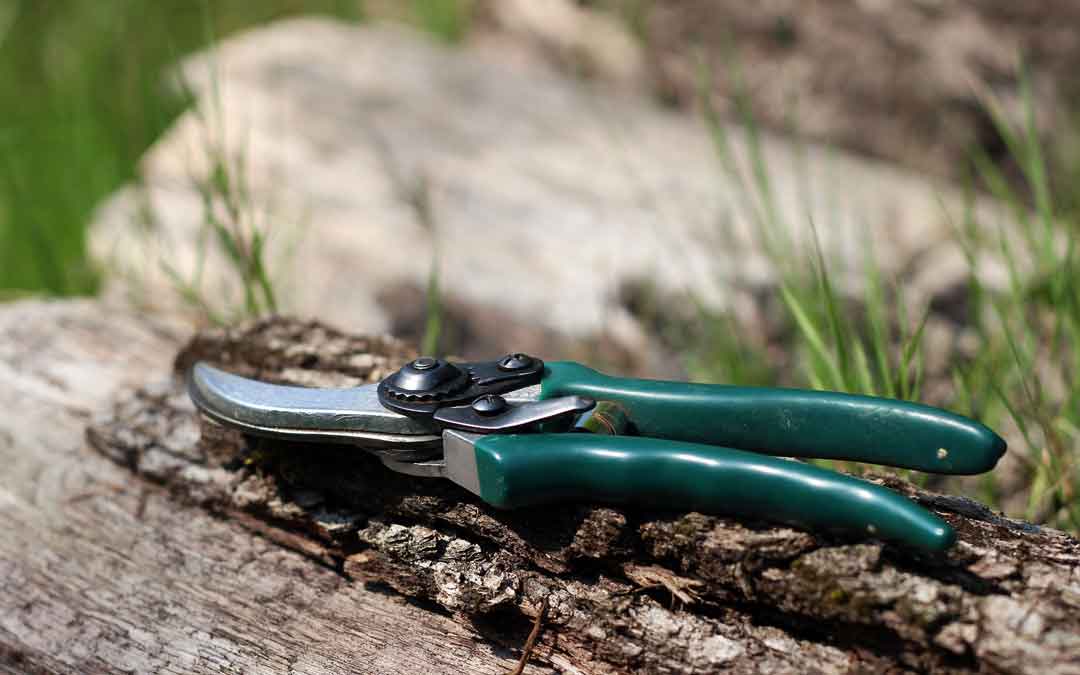 pruning-secaturs