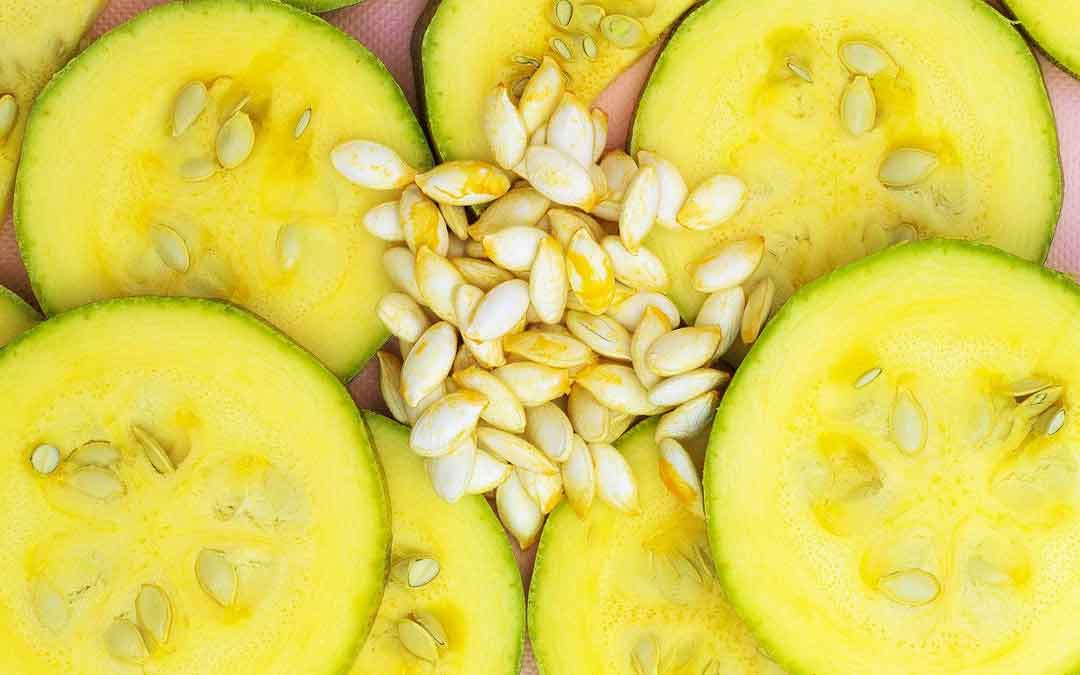 zucchini-seeds