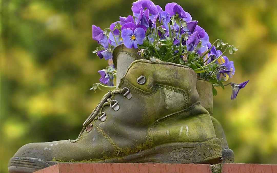 boots-reuse