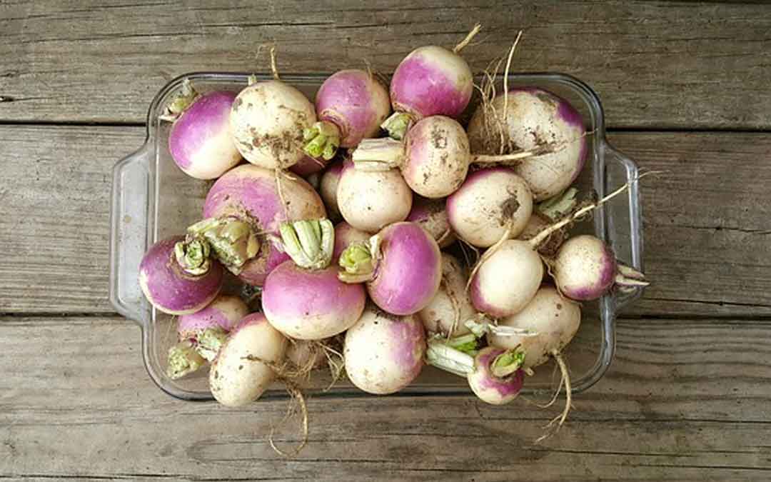 turnips