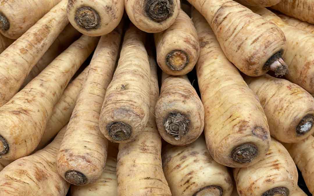 parsnips