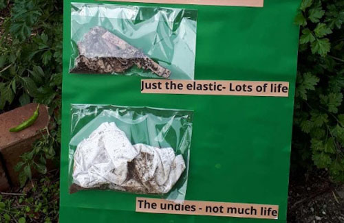 soil-test
